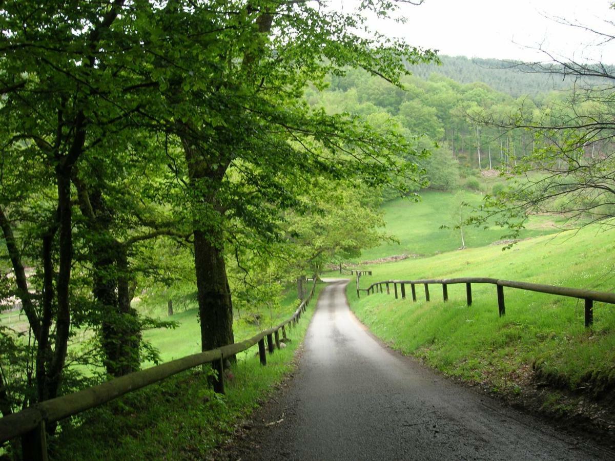 Domaine Du Bas De Chene Villa Saint-Sernin-du-Bois Dış mekan fotoğraf